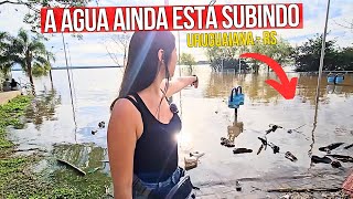 ASSIM ESTÁ A SITUAÇÃO na CIDADE ONDE ESTAMOS no RIO GRANDE DO SUL! Uruguaiana está Alagando? by Casal da Lavanda 95,717 views 2 weeks ago 18 minutes