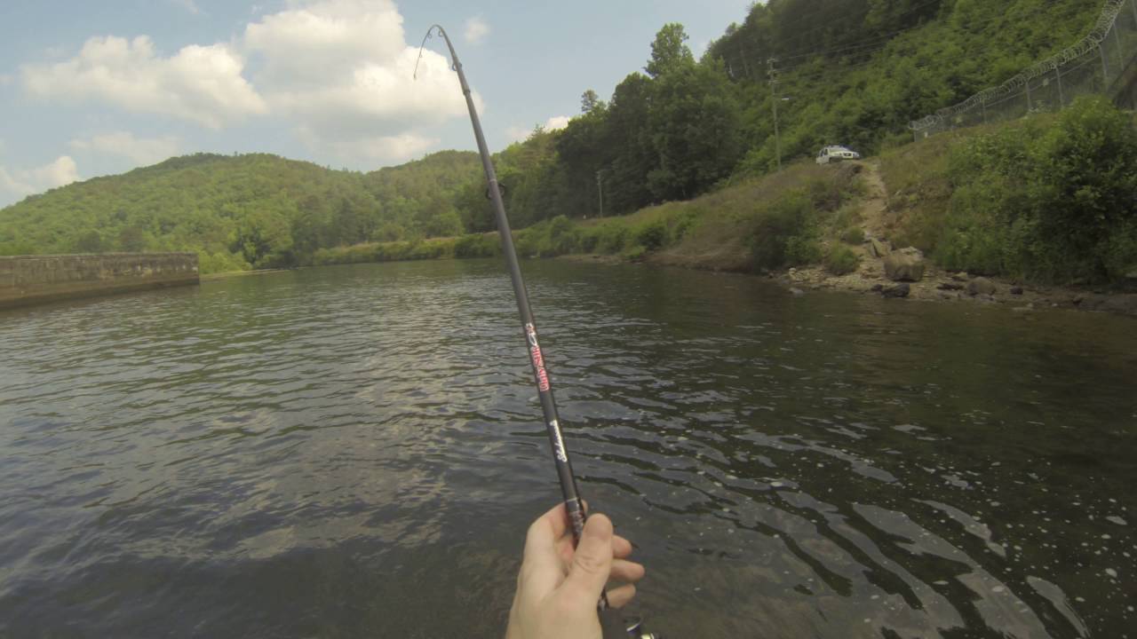 Yonah Dam Striper Fishing YouTube