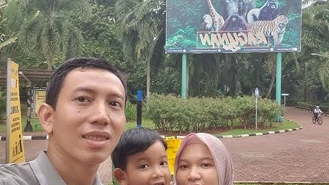 Ragunan ZOO, Lihat Si leher Panjang part 1