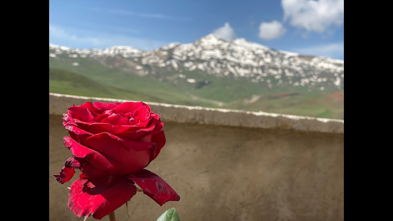 DEVEKORUSU KÖYÜ Cekimleri - 05 2023   Necmi Albayrak