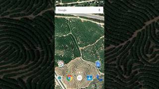 How to get nova launcher prime for free including all pixel features (urdu-hindi) screenshot 2