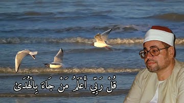 الشيخ شعبان الصياد من سورة القصص فجر
