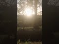 فاطمه عيد ع الزراعيه انا روحت اقابل حبيبي