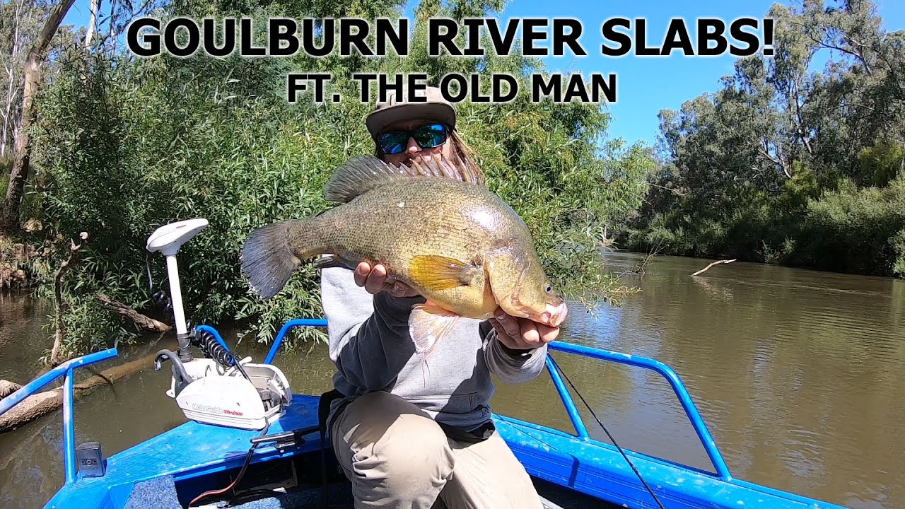 GIANT Yellowbelly & Murray Cod Fishing Goulburn River Natives YouTube