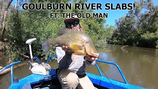 Giant Yellowbelly & Murray Cod Fishing Goulburn River Natives