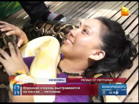 В Филиппинском зоопарке выстраивается очередь на массаж питонами