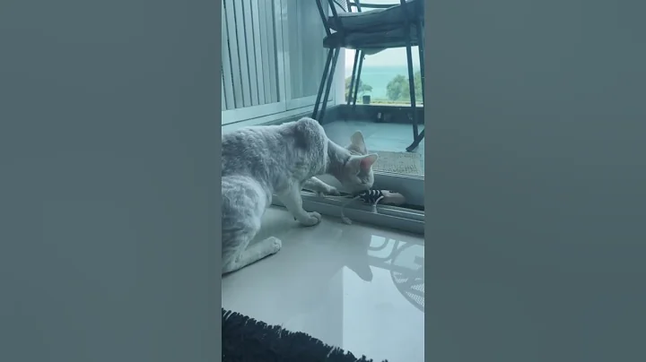 Watch the video about Skeleton and me