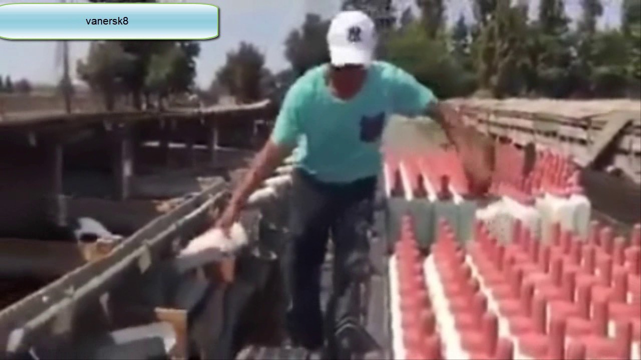 Lo Que Los Gringos No Quieren Hacer Y Los Mexicanos Si YouTube