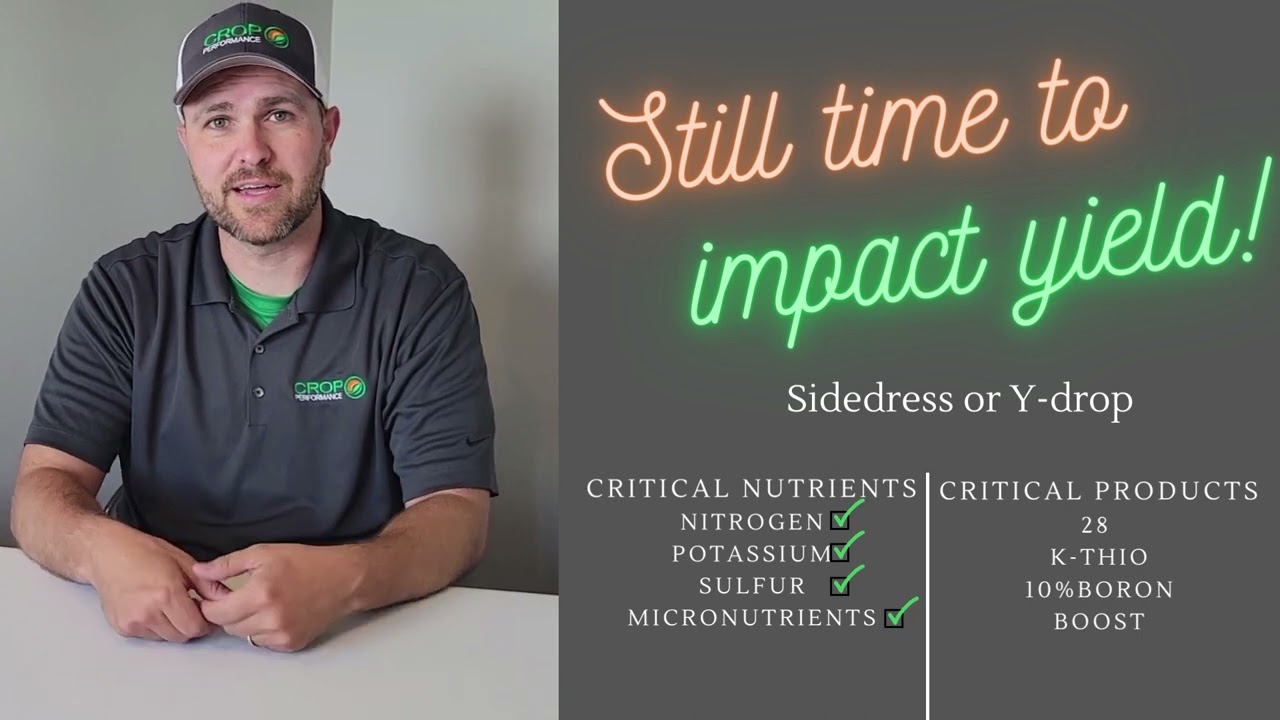 Impact YIELD while you still can!