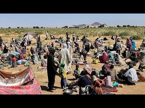  -      : -   -
 - نشر قبل 2 ساعة