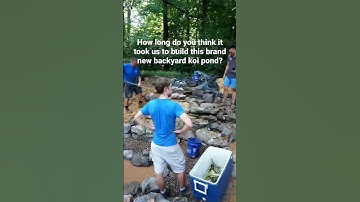 How long does it take to build a koi pond? #shorts #koipond #timelapse #