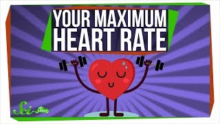 Do You Have a Maximum Heart Rate?