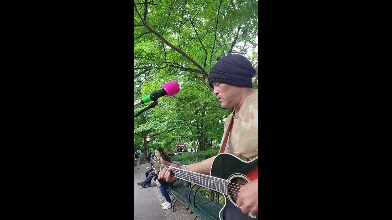 The Gift (mpotter) BlackBird (lennon/mccartney)