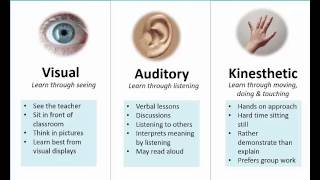 visual learning style examples