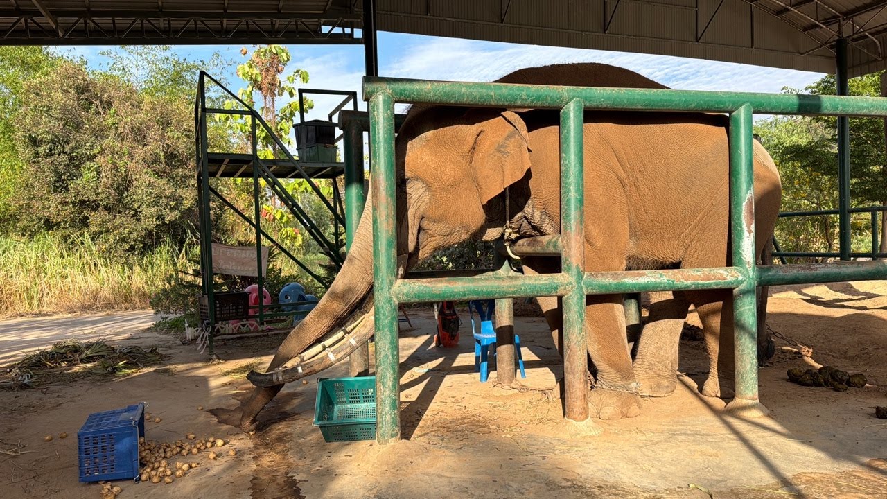 จับเเซมได้ละ