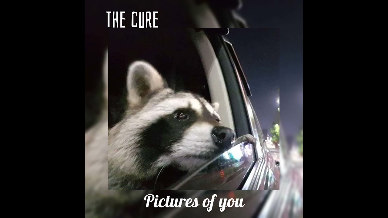 The cure - Pictures of you sped up