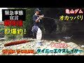 【亀山ダム】入れ食い！オカッパリ釣行～バスも緊急事態宣言解除中～　スレバスに効くのはメガバスのタイニーエクスレイヤー☯ニセクシー☯