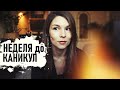 Неделя до каникул. Мои ЖЕРТВЫ. Потерянный дедушка. Про птиц. - Senya Miro