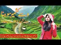 Wase kashmir sohna  tahir nayyer  latst song 2021  dadyal apna des dadyal azad kashmir