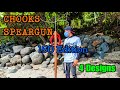 Chooks speargun projects: Chooks Adventures spearfishing and outdoors adventures