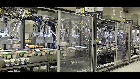 A+F Packaging Solutions - A+F SortPacker