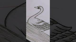 swan drawing easy for kids #swan #drawing#art #trending #viralvideo