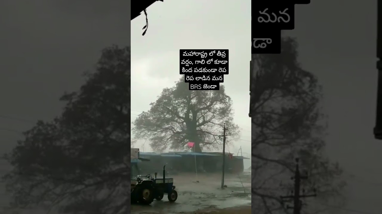 BRS flag in Maharashtra... jai kcr jai telangana