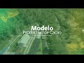 Modelo Productivo de Cacao | Manejo Agronómico