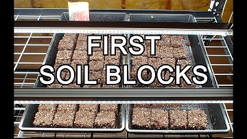 The Homestead | Testing out soil blocking with promix by planting pears