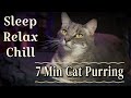 Chill, Relax, Doze to 7.5 minutes of Ashford T. Purrinton III, Esq., DDS. Comment if you want more.