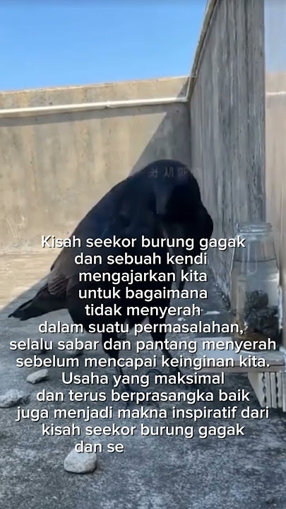 Belajar dari cerita burung gagak dan kendi air