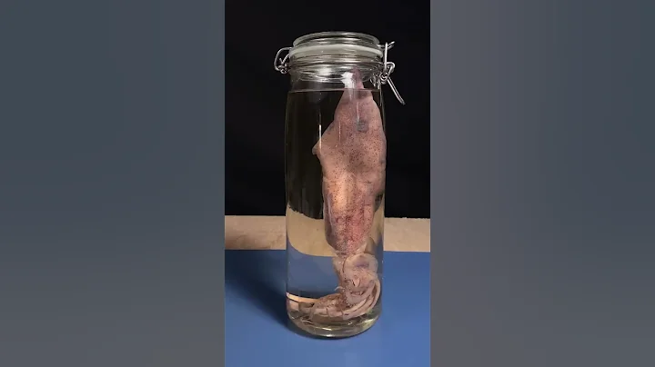 Squid Beak under a Microscope - DayDayNews