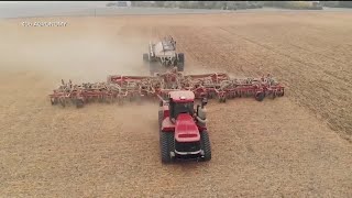 Selecting right seed variety is important for winter wheat planting