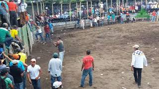 Última Monta De Toros 2017 Desde La Barrera Municipal De Camoapa