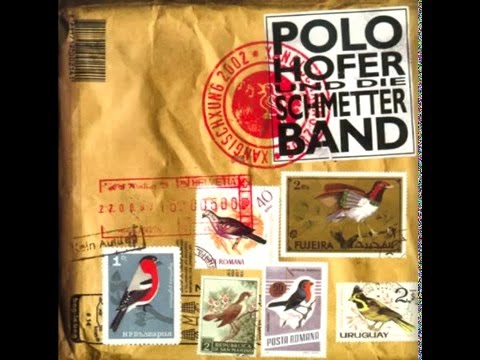 Polo Hofer Blueme