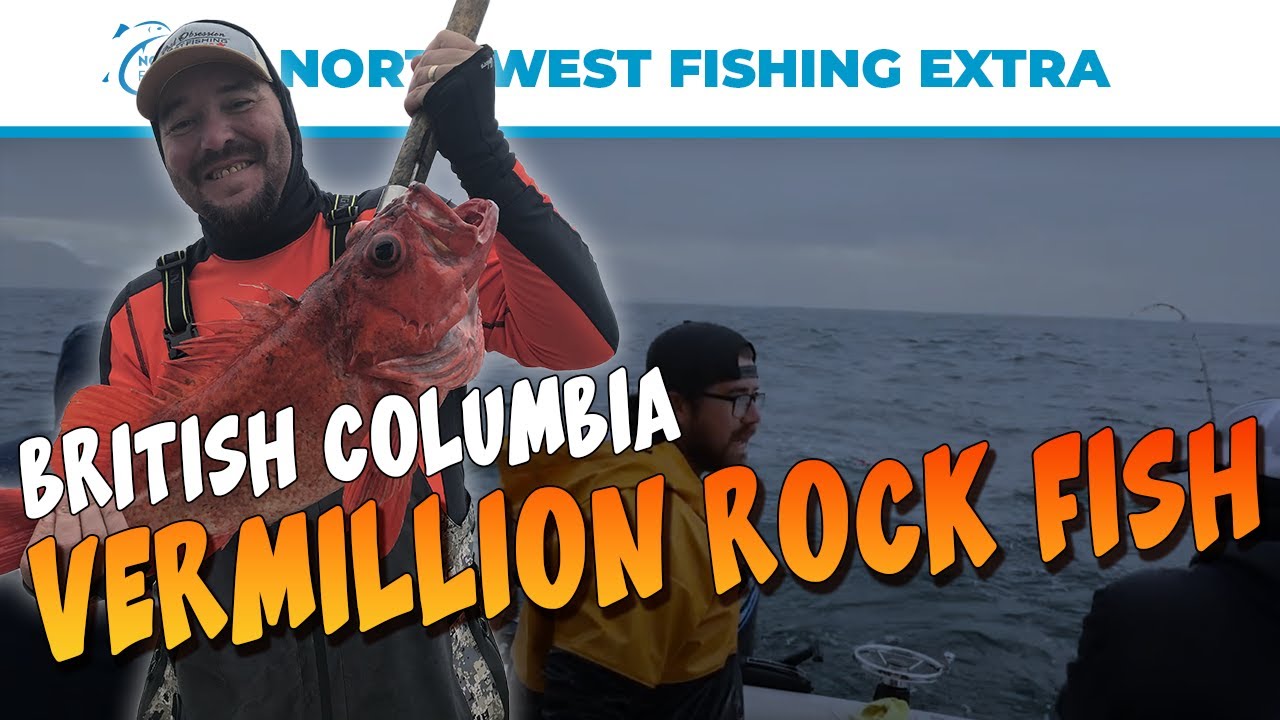 Fishing for Vermillion Rock Fish in British Columbia | Northwest Fishing Extra
