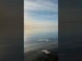 The ice is Melting off the lake!