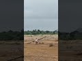 Landing 🛬 😍Homemade Rc plane #shorts feed#shortsviral #shorts #viral
