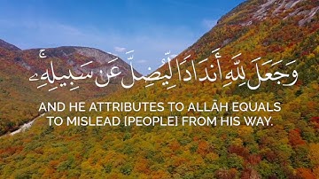 (إدا مس الإنسان ضر دعا ربه منيبا إليه) القارئ احمد عبد الرازق سورة الزمر قرأن الكريم