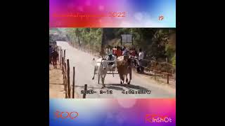 19th Prize In 300m Reckla Race At Zamin Kaliyapuram