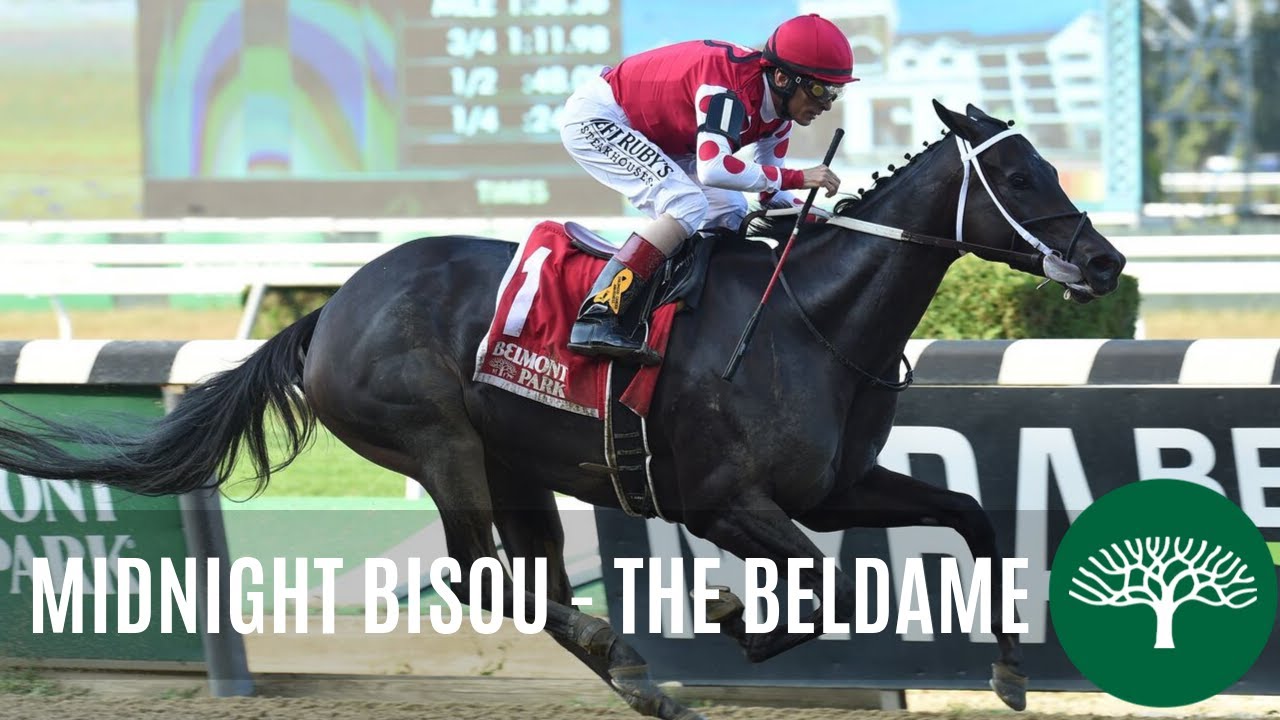ベタ Midnight Bisou - 2019 - The Beldame Stakes