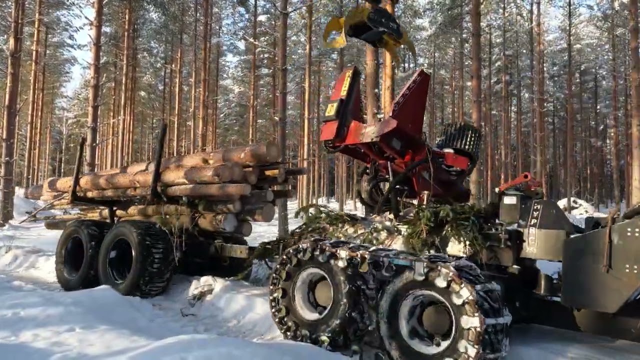 Malwa 560.5T Tw grip harvester - demo day in Ljusdal, Sweden