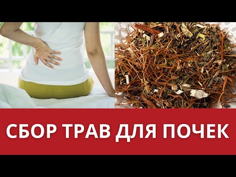 8 трав для ваших почек