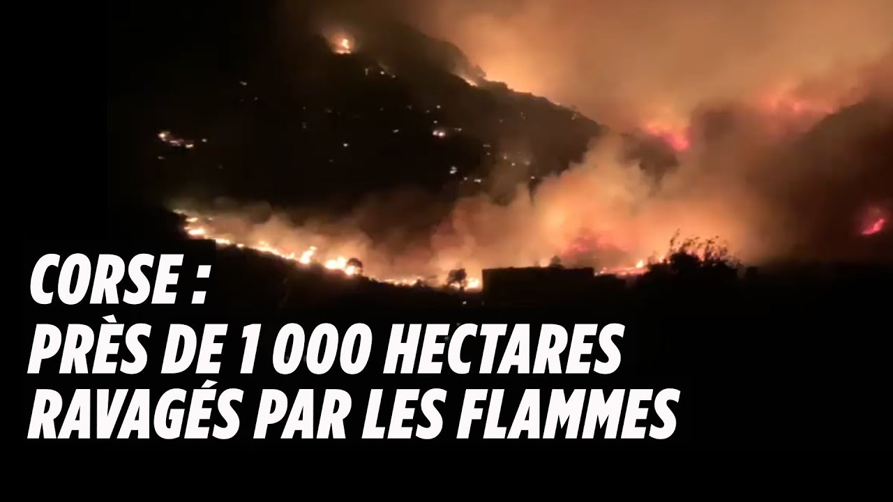 Avoir Images Corse Pres De 1000 Hectares Ravages Par Les Flammes Youtube actualisé par