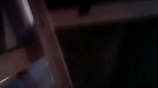 How 2 Make Babydoll Grow