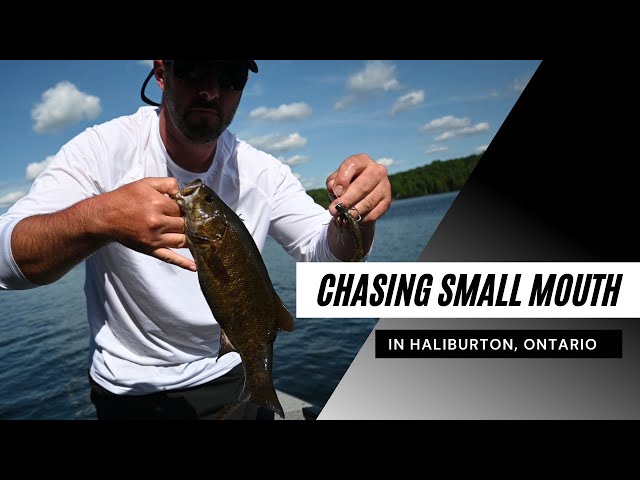 Small Mouth Bass Fishing in Haliburton,Ontario 