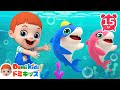 【0~4歳向け♪ 】ベイビーシャーク | アニマルダンス | 動物の歌 | 赤ちゃんが喜ぶ歌 | 子供の歌 | 童謡 | アニメ | 知育動画 | ドミキッズ | Domi Kids