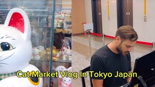 Stjepan Hauser In Cat Market New Vlog | Hauser In Another Planet New World In Japan Tokyo 2024