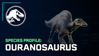 Species Profile – Ouranosaurus