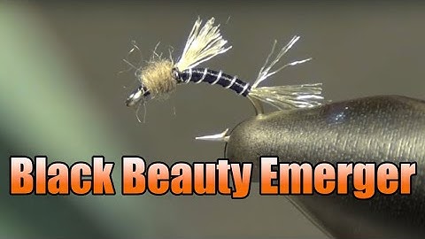 Black Beauty Midge Emerger Fly Tying - Great Midge Pattern For Big Picky Winter Trout